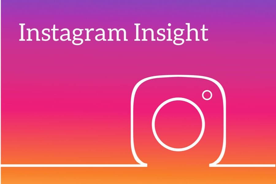Dati statistici Instagram