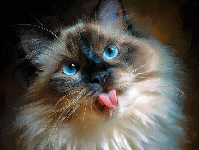 Digital painting style