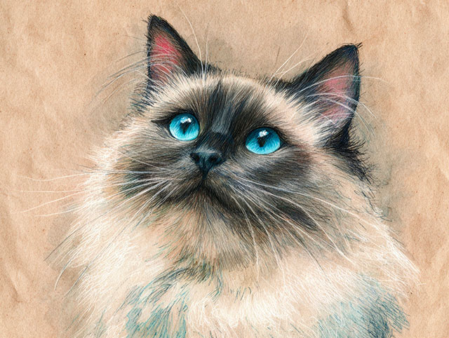 Watercolor style